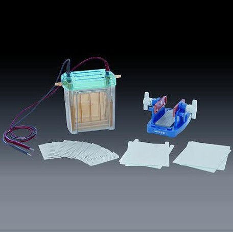 �p��ֱ�Ӿ�x(��)(��̖)DYCZ-24EN