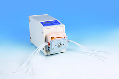 ��X���ֺ�����