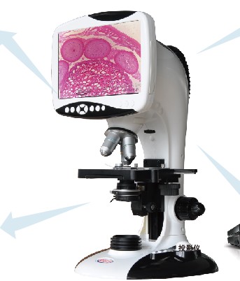 �๦�ܔ�(sh��)�aҺ���@΢�RTS2-�̌W���A��