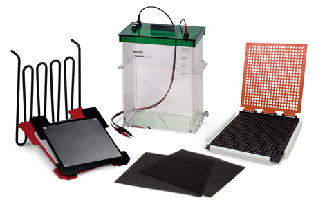 Trans-Blot&reg; Plus �Dӡ��