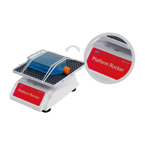 �[��С��NS-04��NS-05U